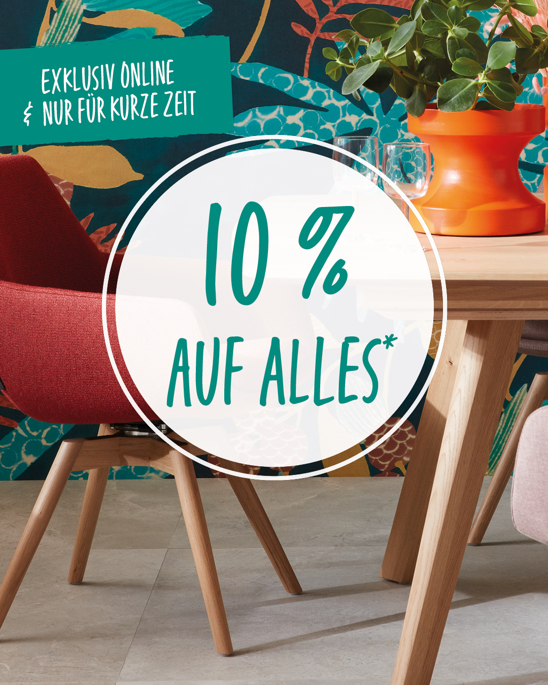 Pflanze, Pflanze im Topf, Krug, Pflanzgefäß, Vase